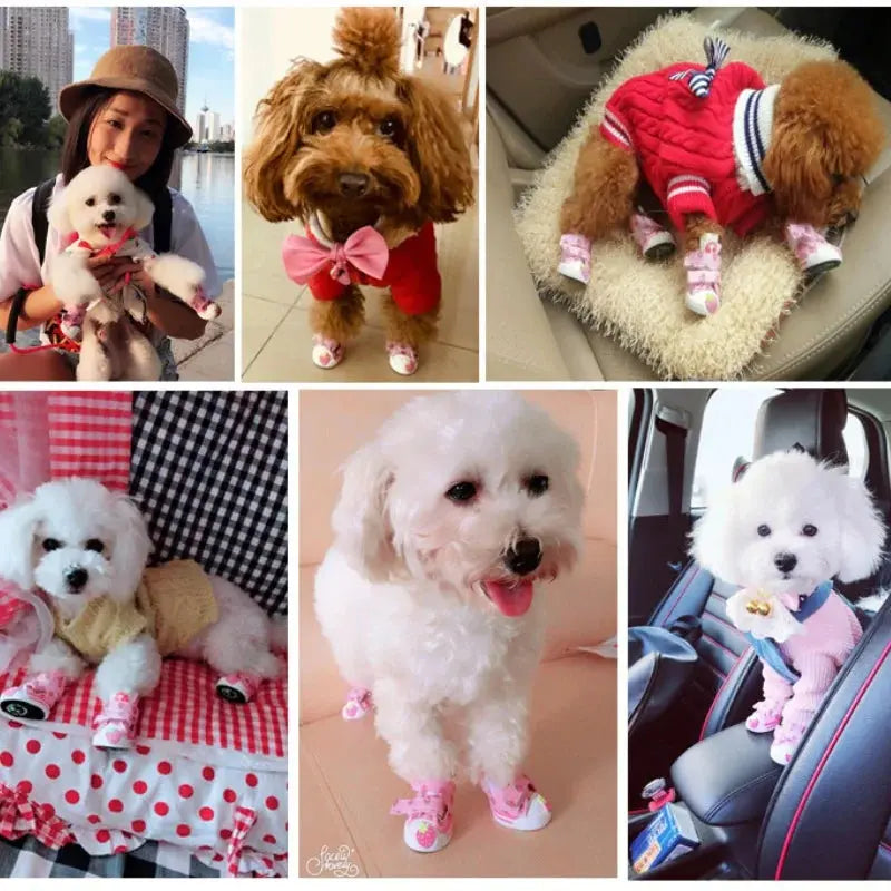 Pet Dog Canvas Shoes for Small Dogs Cute Stawberry Pattern Dog Shoes Anti-Slip Puppy Boots Breathable Cat Sneakers Pet Supplies