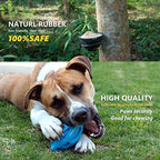 Squeaky Dog Toys for Aggressive Chewers - Rubber Chew Ball for Teeth Grinding & Cleaning
