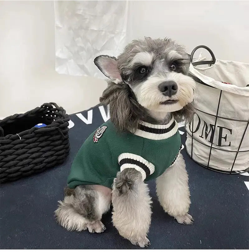 CampusPaws V-Neck Sweater - Preppy Knit Pullover for Small Dogs & Cats