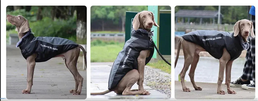 Thickened Big Dog Coat Jacket with Fur Collar Winter Warm Pet Clothes for Medium Large Dogs Greyhound Doberman mascotas Outfits