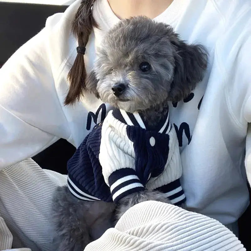 Embroidered Pet Baseball Jackets Dog Clothes For Small Medium Cat Teddy Coat Puppy Spring Clothes Warm Fashion Pet Outfit