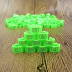 Bird Leg Bands (100pc, 8mm)