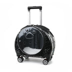 Transparent Space Cat Travel Capsule