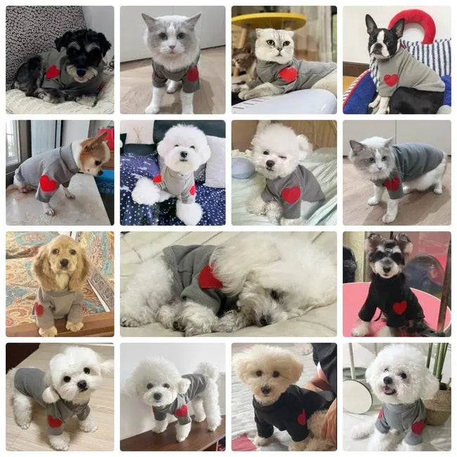 Fashion Dog Hoodies Autumn Dog Clothes for Small Dogs Cute Solid Puppy Sweater Soft Cat Hoodies Pet Sweatshirt Chihuahua Clothes Main Image
