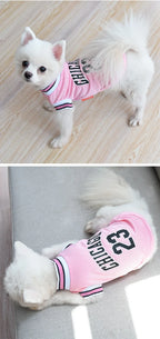 Summer Mesh Dog Jersey - Breathable Sport Shirts for Cooling, Small & Large Breeds (Schnauzer, Teddy, Cats)