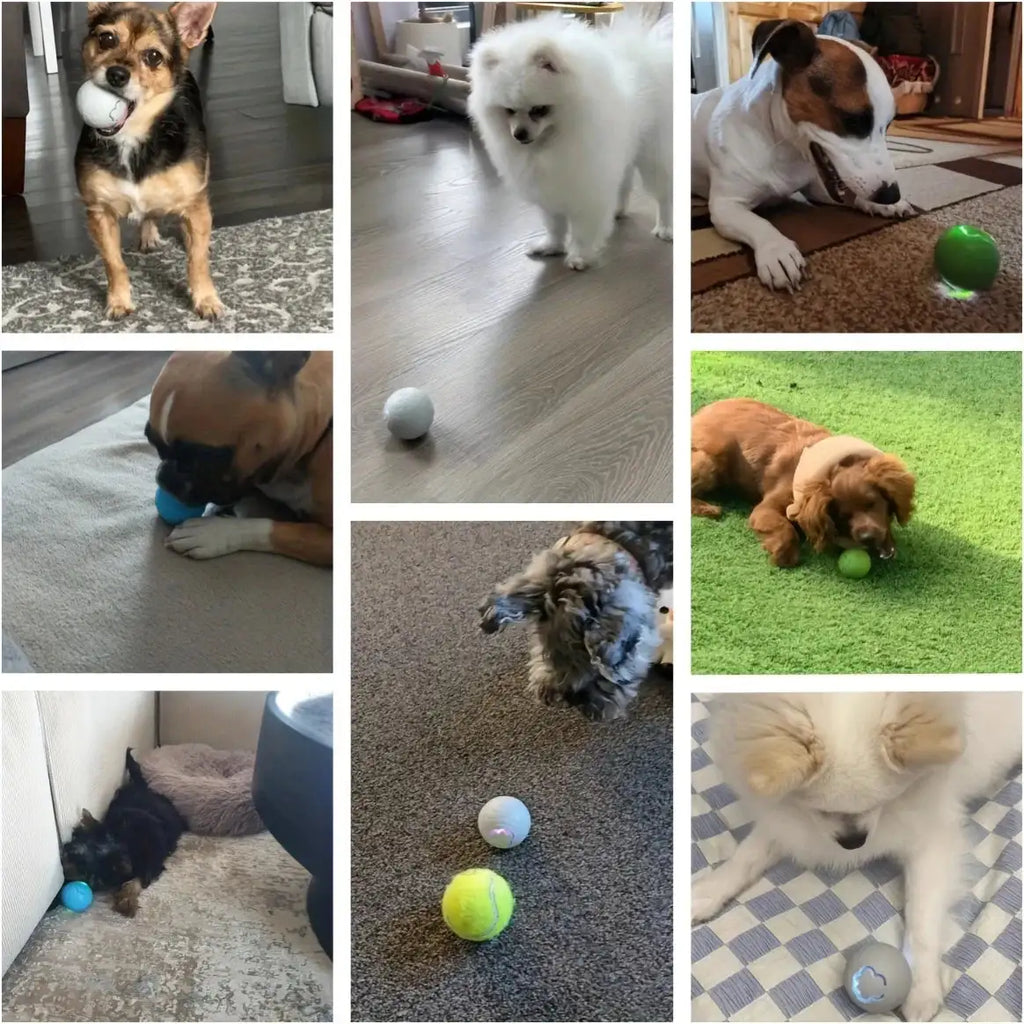 Rechargeable Automatic Dog Toy Ball - LED Bouncing Ball w/ USB Charging for Cats & Dogs
