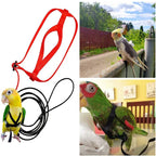 Parrot Flight Harness & Leash