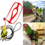 Parrot Flight Harness & Leash