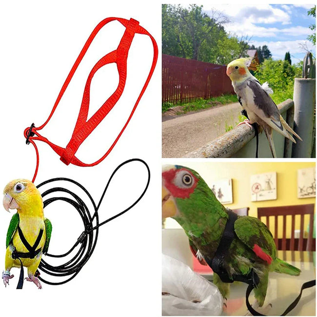 Parrot Flight Harness & Leash Hover Image
