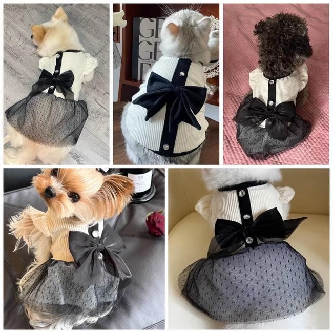 Luxury Dog Dress for Small Dogs - Summer Puppy Clothes with Bow & Lace Main Image