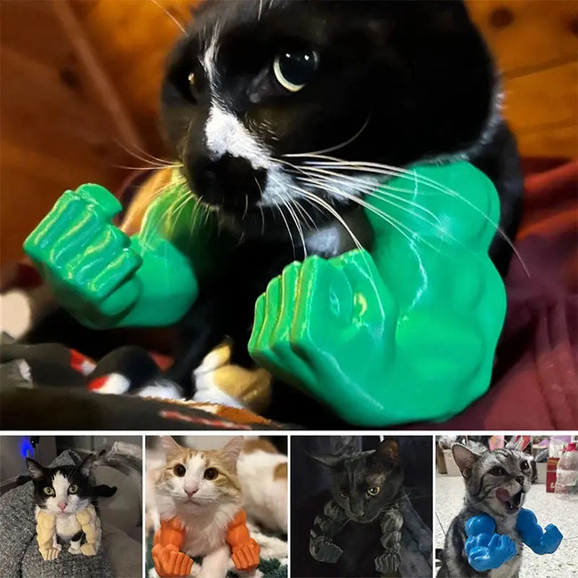 Funny Cat Muscle Arm Clothing Decoration Props 3D Printed Pet Interactive Neck Hanging Toy Role-playing Accessories Birthday Toy Main Image