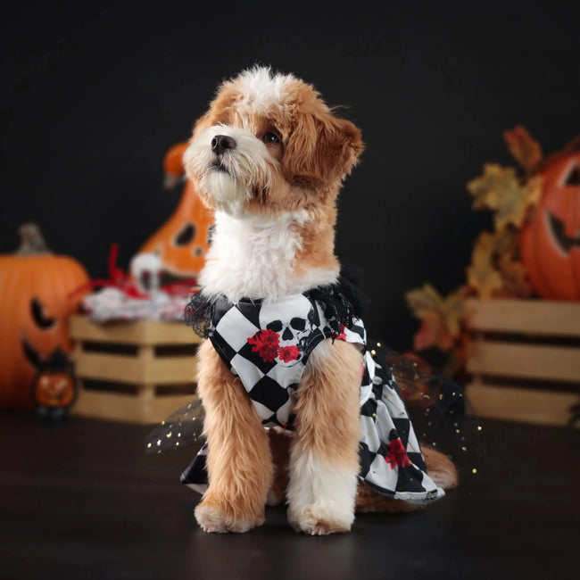 New Fun Dog Halloween Costume Pet Lace Hair Proof Dress Dog Clothes Gift Dog Dress Hover Image