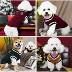 CampusPaws V-Neck Sweater - Preppy Knit Pullover for Small Dogs & Cats