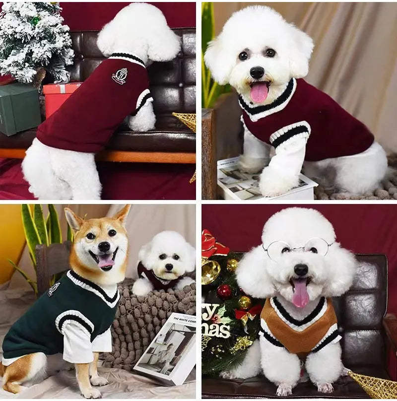 CampusPaws V-Neck Sweater - Preppy Knit Pullover for Small Dogs & Cats