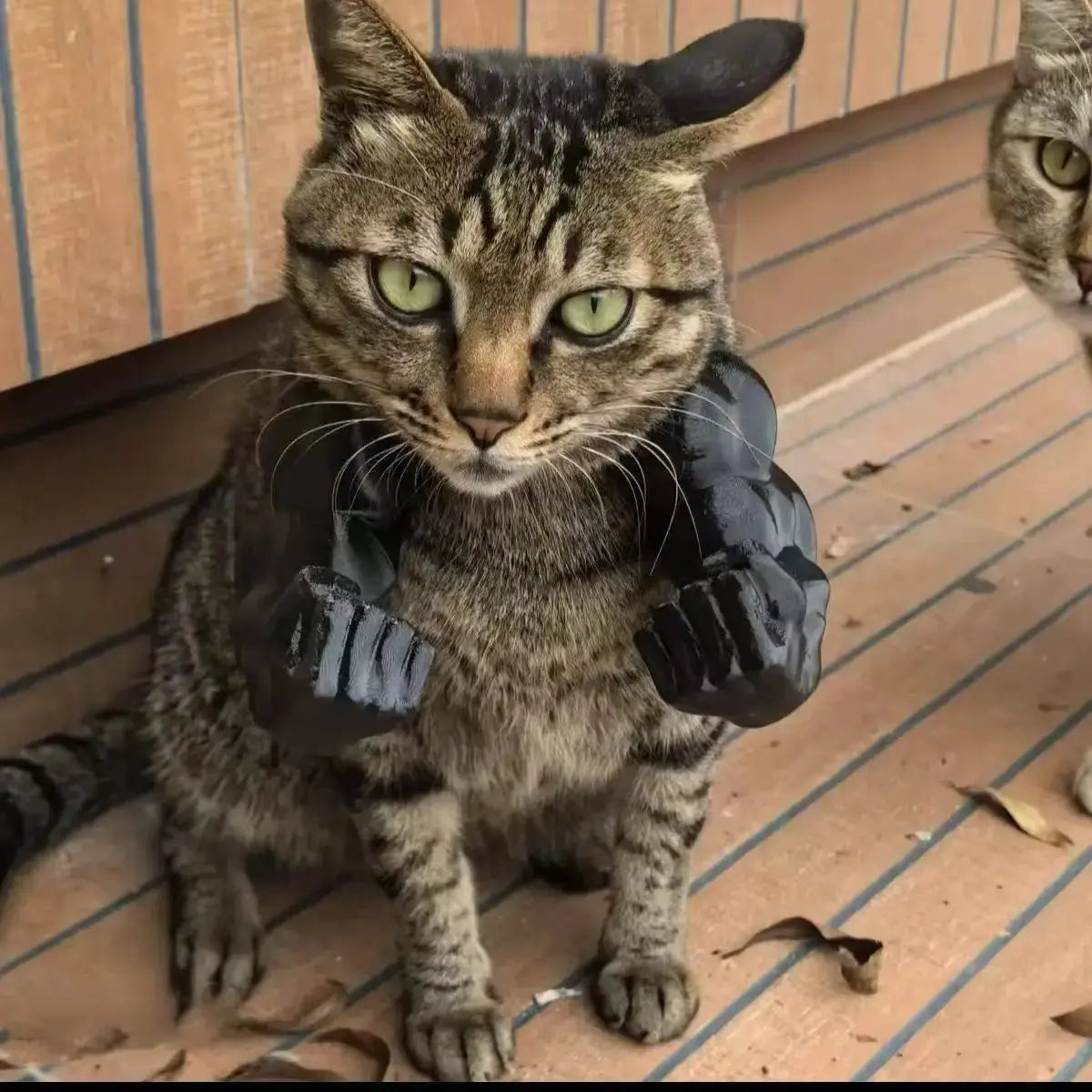 Cat Muscle Arms With Muscle 3D Printed Funny Cat's Neck Giant Arm Creative Arm For Pet Cosplay Halloween Costume Party Accessory