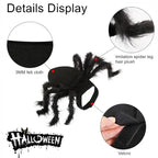 NONOR Halloween Dog Cat Clothes Pet Cosplay Funny Spider Costume Halloween Party Costumes for Small Medium Dog Cat Costumes