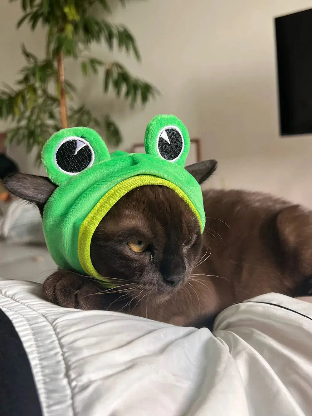 Halloween Easter Pet Costume Novelty Crab Lobster Frog Hat for Cat Puppy Hat Dog Cap Soft Headgear for Birthday Party Photo Prop