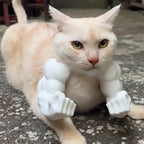 Funny Cat Muscle Arm Clothing Decoration Props 3D Printed Pet Interactive Neck Hanging Toy Role-playing Accessories Birthday Toy