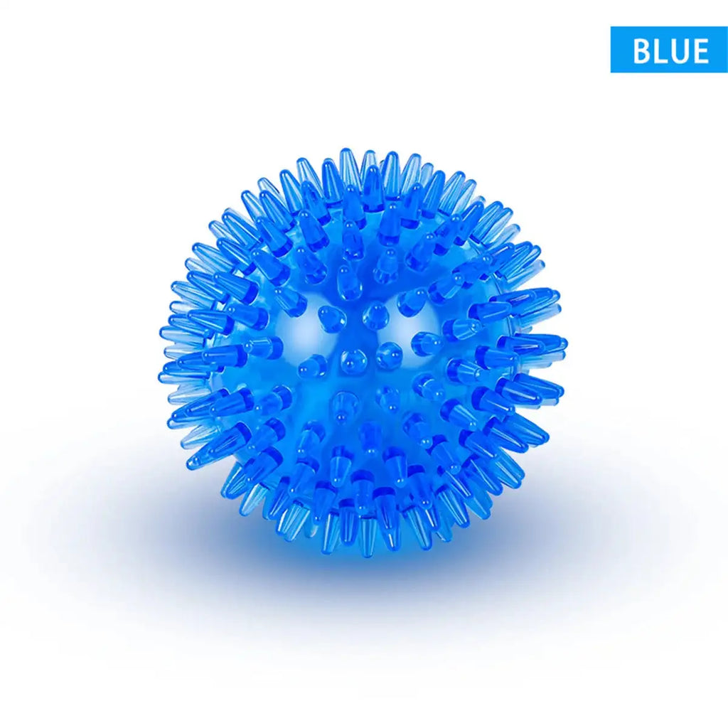 Squeaky Dental Chew Ball - Bouncy TPR Dog Toy for Teeth Cleaning & Play