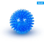 Squeaky Dental Chew Ball - Bouncy TPR Dog Toy for Teeth Cleaning & Play