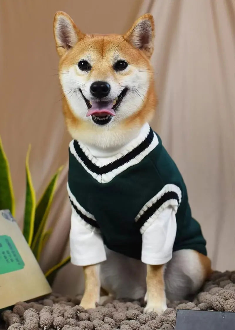 CampusPaws V-Neck Sweater - Preppy Knit Pullover for Small Dogs & Cats