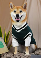 CampusPaws V-Neck Sweater - Preppy Knit Pullover for Small Dogs & Cats