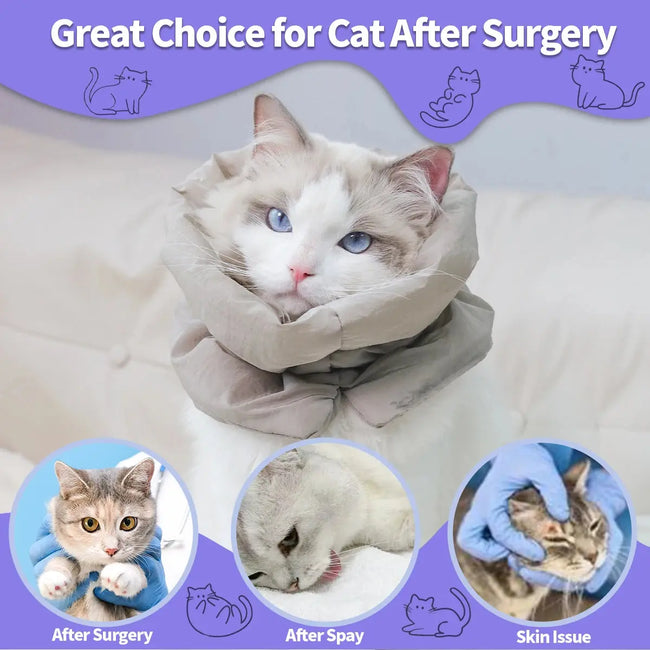 A colorful and fashionable pet warm collar and waterproof scarf for cats to prevent licking and biting after sterilization surge Hover Image