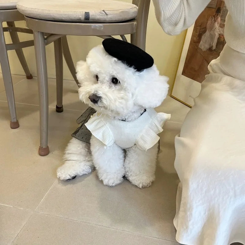 Luxury Dog Dress for Small Dogs - Summer Puppy Clothes with Bow & Lace