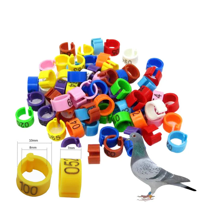 Bird Leg Bands (100pc, 8mm) Hover Image