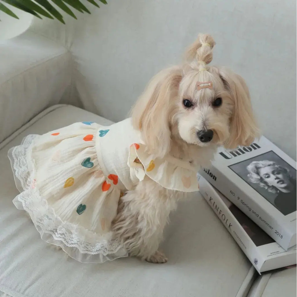 Pet Light Yellow Heart-shaped Little Fly Sleeve Dress Cat and Dog Four Season Vest Puppy Clothes Dog Dresses for Small Dogs