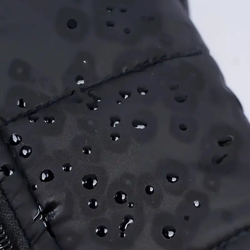 Waterproof Winter Dog Jacket - Warm Padded Vest w/ Zipper for Small, Medium, Large Dogs & Cats