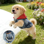 Denim Dog Jean Jacket Vest with D-Ring Cool Spring Dog Hoodies Breathable Lightweight Puppy Harness Coat For Small Medium Dogs