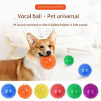 Squeaky Dental Chew Ball - Bouncy TPR Dog Toy for Teeth Cleaning & Play