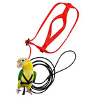 Parrot Flight Harness & Leash