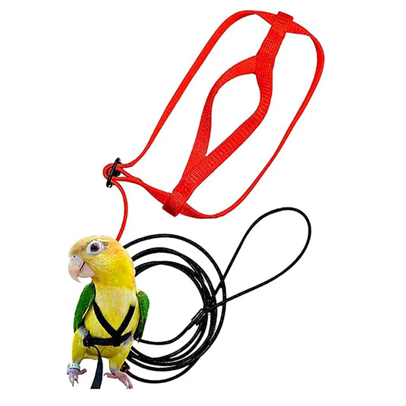 Parrot Flight Harness & Leash