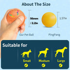 Rechargeable Automatic Dog Toy Ball - LED Bouncing Ball w/ USB Charging for Cats & Dogs