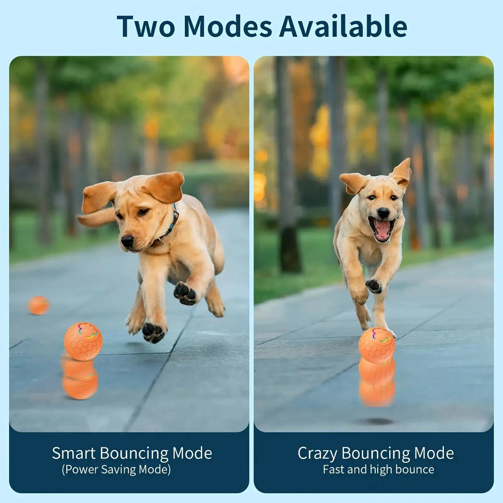 Rechargeable Automatic Dog Toy Ball - LED Bouncing Ball w/ USB Charging for Cats & Dogs