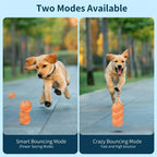 Rechargeable Automatic Dog Toy Ball - LED Bouncing Ball w/ USB Charging for Cats & Dogs
