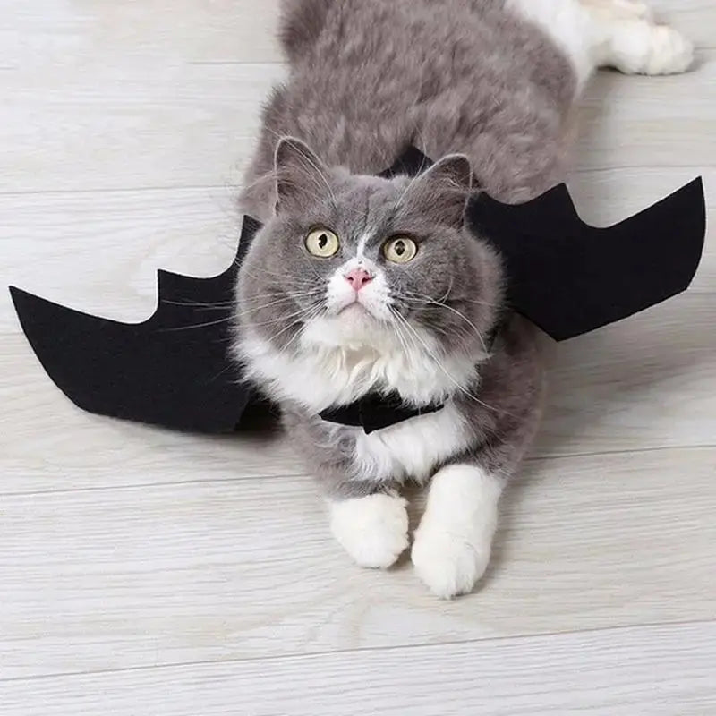 Pet Halloween Cosplay Costume for Dogs Cats Puppy Kittens Black Bat Wings