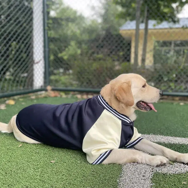M~7XL Warm Big Dog Baseball Suit Medium Large Dogs Autumn Winter Clothing Golden Retriever Labrador Dog Sweater Thick Style Hover Image