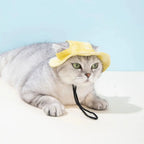 Pet Hat with Ear Holes Summer Outdoor Cute Dog Cat Hat Colorful Adjustable Baseball Cap for Small Medium Dogs Cats Pet Supplies
