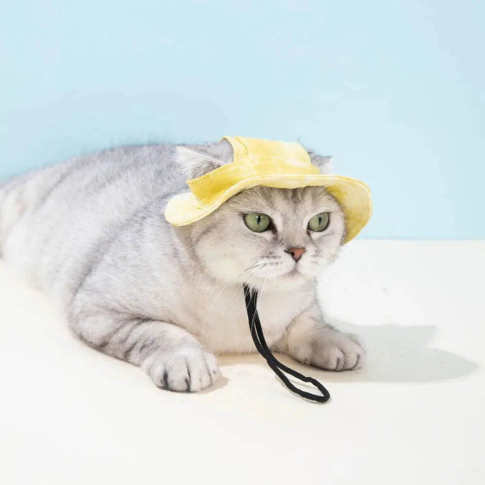 Pet Hat with Ear Holes Summer Outdoor Cute Dog Cat Hat Colorful Adjustable Baseball Cap for Small Medium Dogs Cats Pet Supplies
