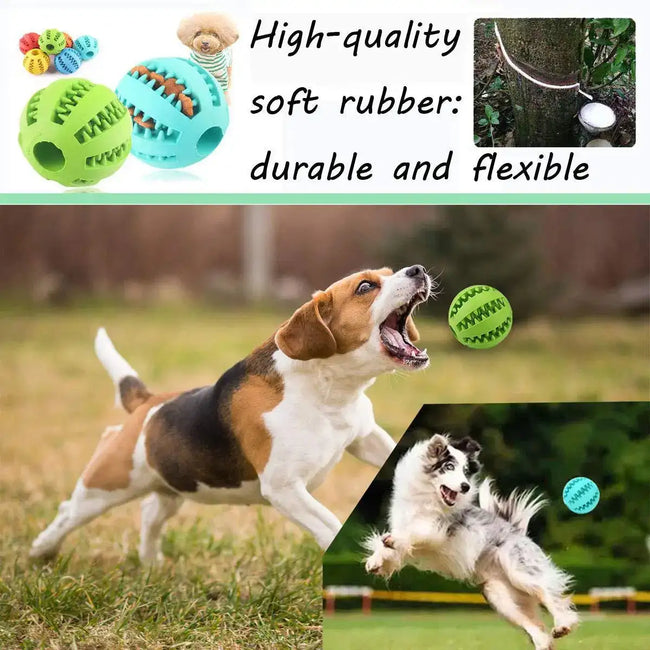 Durable Dental Chew Ball for Dogs – Snack-Dispensing Rubber Toy for Puppies & Large Breeds Main Image