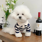 Summer Polo Shirt for Dogs – Stylish Cooling Vest for Small & Medium Breeds