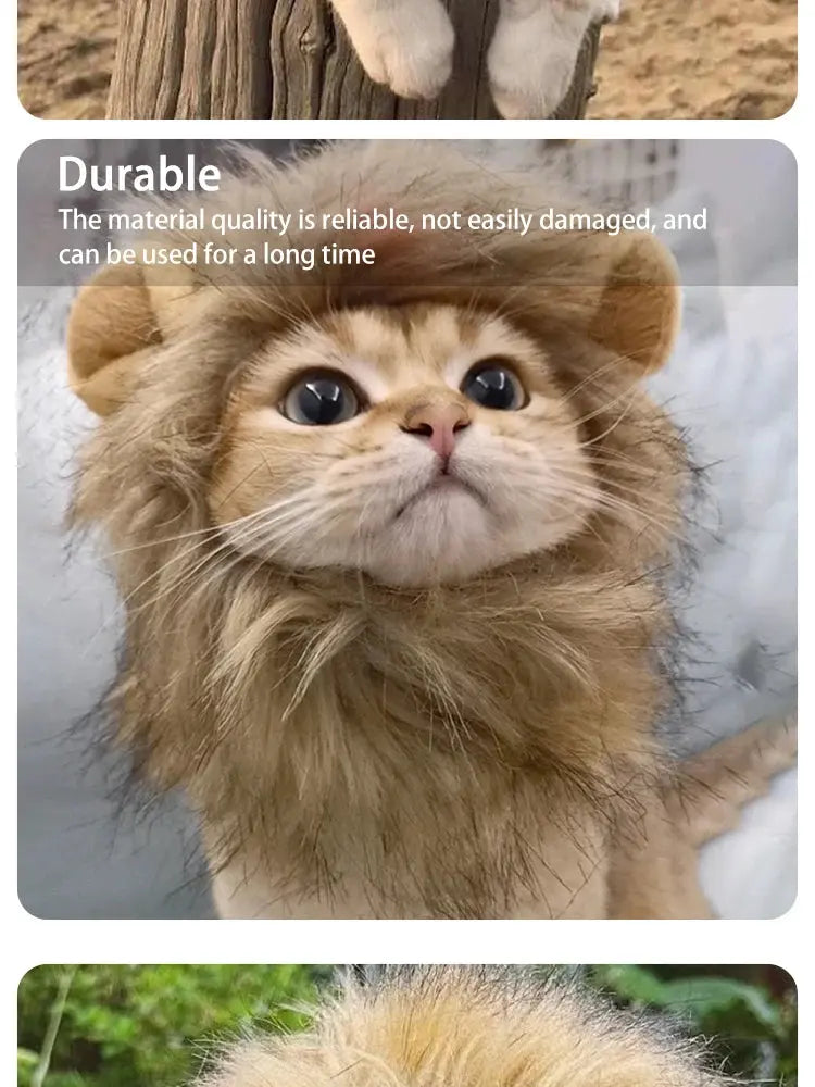 Pet Hairpiece - Humorous Lion Mane Headgear for Dogs and Cats, Adjustable Costume Accessories for Fun Dress-up and Play