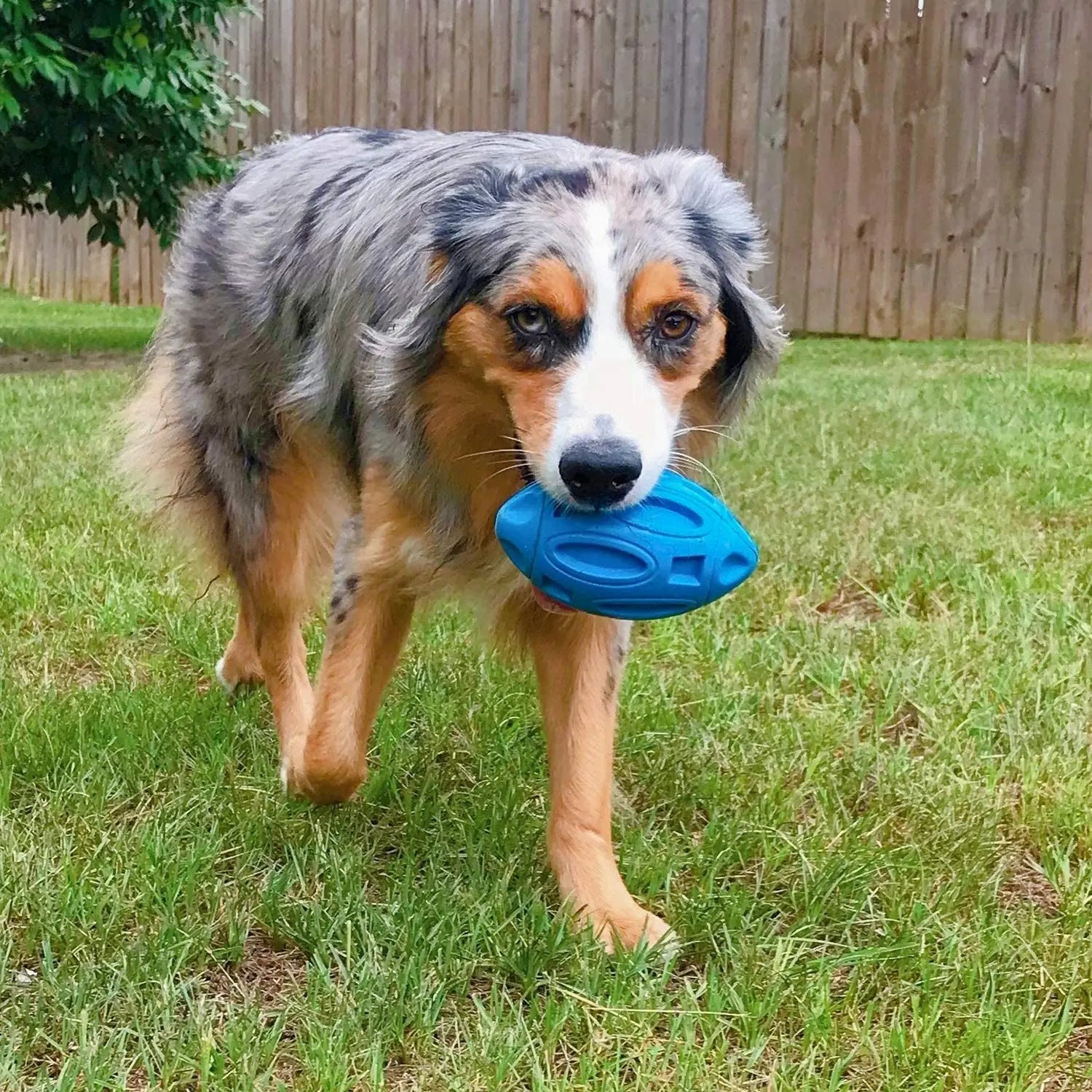 Squeaky Dog Toys for Aggressive Chewers - Rubber Chew Ball for Teeth Grinding & Cleaning