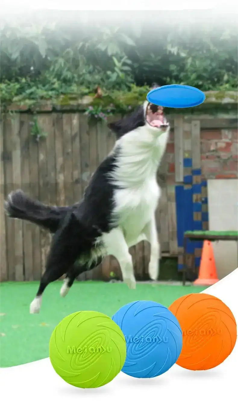 Ultra-Durable Chew-Proof Dog Frisbee – Bite Resistant Flying Disc for Outdoor Training & Play