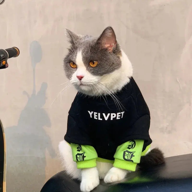 Pet Hoodies for Dogs Cats Spring Dog Clothes Chihuahua Bichon Poodle Dog Sweatshirt Solid Montage Puppy Clothing Pet Costumes
