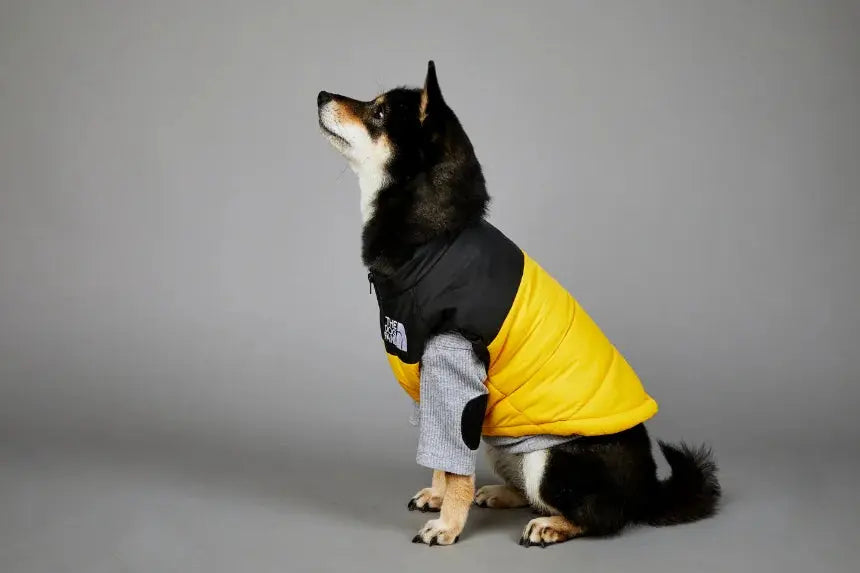 Autumn Winter Pet Dog Down Jacket Clothes for Small Medium Large Dogs Warm Thick Dog Vest French Bulldog Puppy Clothes