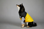 Autumn Winter Pet Dog Down Jacket Clothes for Small Medium Large Dogs Warm Thick Dog Vest French Bulldog Puppy Clothes